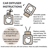 Skittles-Car Diffuser-Scented by Carine Car Air Freshener Diffuser